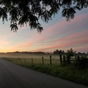 Meet your Posher, Macee